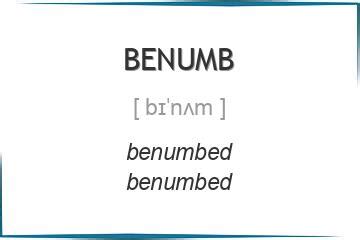 betnumb|BENUMB Definition & Meaning .